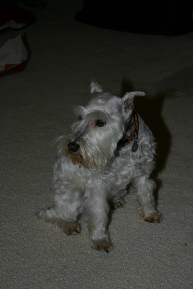 2005/12(December)/Christmas/800x600_2005-12-25-Christmas-56-Joshs-house-Packet.JPG
