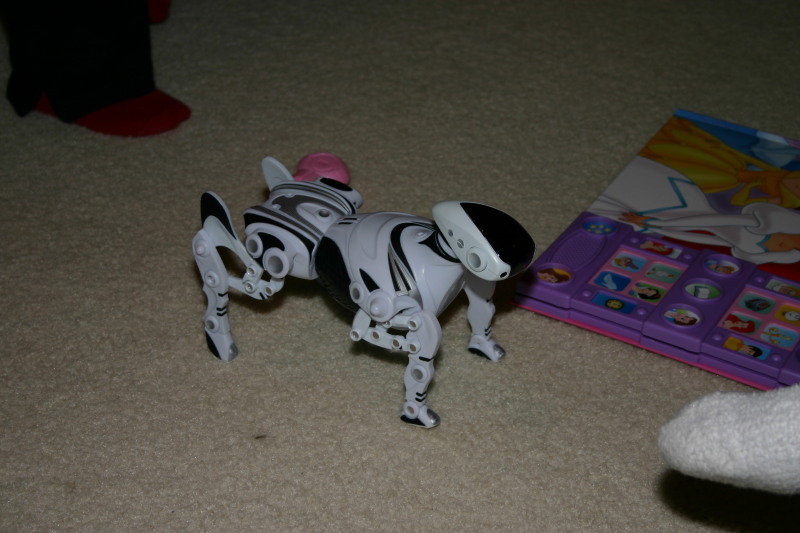 2005/12(December)/Christmas/800x600_2005-12-25-Christmas-57-Joshs-house-Robopet.JPG