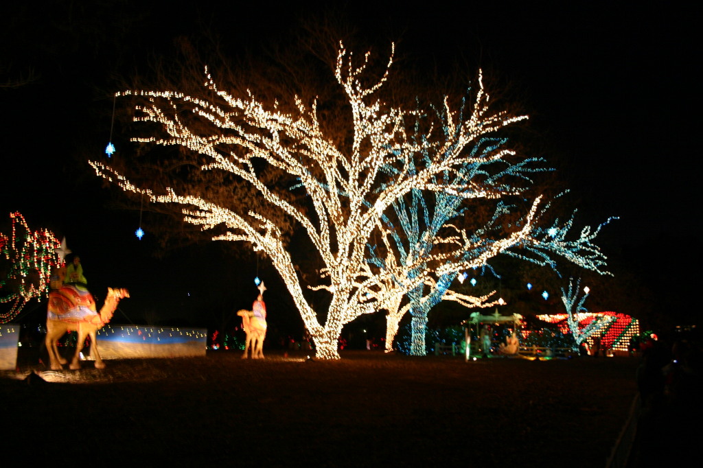 2005-12-22-Trail-of-Lights-25.JPG