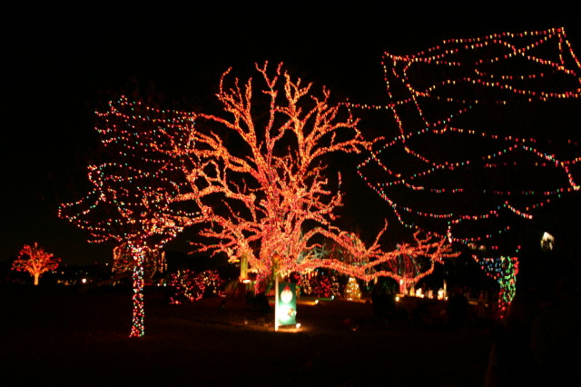 2005-12-22-Trail-of-Lights-18.JPG