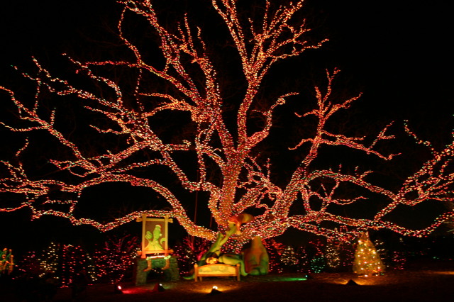 2005-12-22-Trail-of-Lights-22.JPG