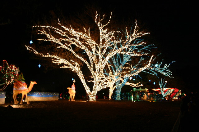 2005-12-22-Trail-of-Lights-25.JPG