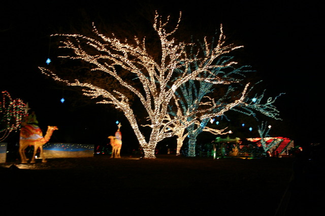 2005-12-22-Trail-of-Lights-26.JPG