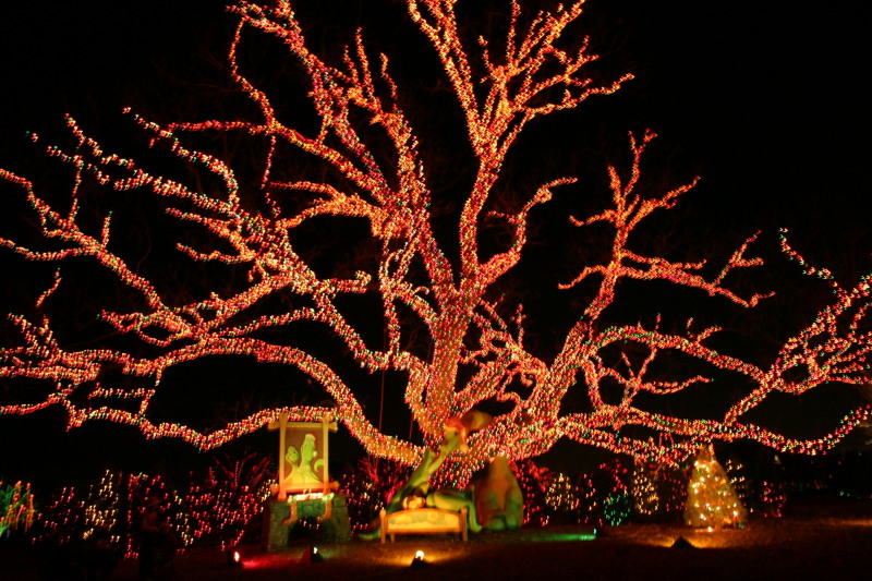 2005-12-22-Trail-of-Lights-21.JPG