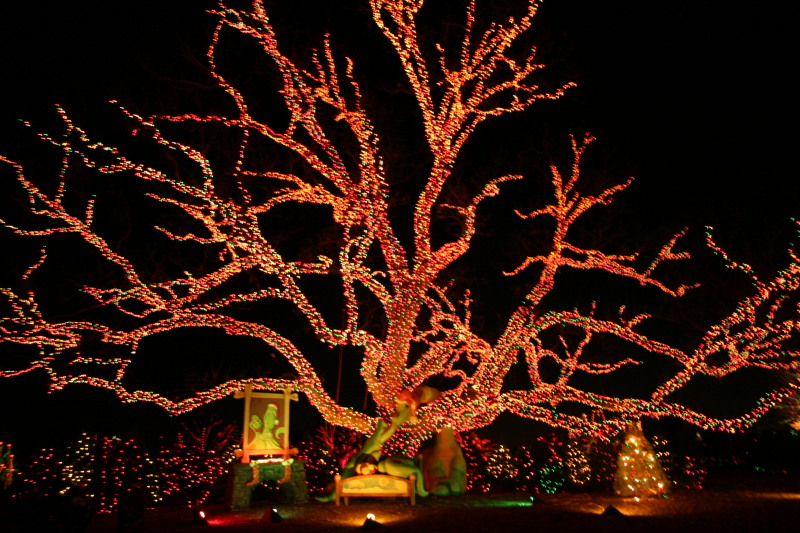2005-12-22-Trail-of-Lights-23.JPG