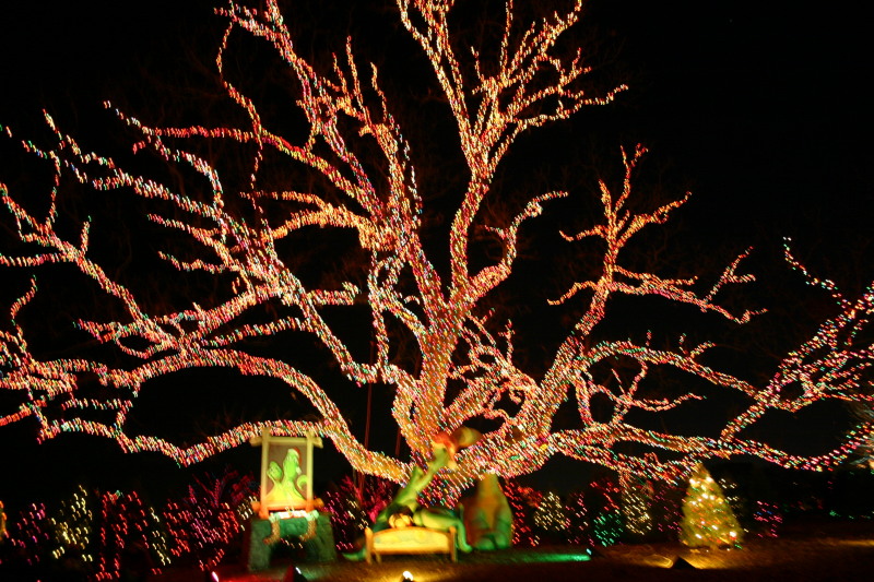 2005-12-22-Trail-of-Lights-24.JPG