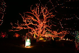 2005-12-22-Trail-of-Lights-19.JPG