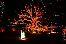 2005-12-22-Trail-of-Lights-20.JPG