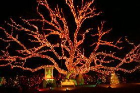 2005-12-22-Trail-of-Lights-21.JPG