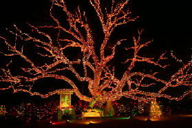 2005-12-22-Trail-of-Lights-22.JPG