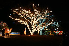 2005-12-22-Trail-of-Lights-25.JPG