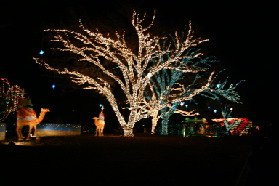 2005-12-22-Trail-of-Lights-26.JPG