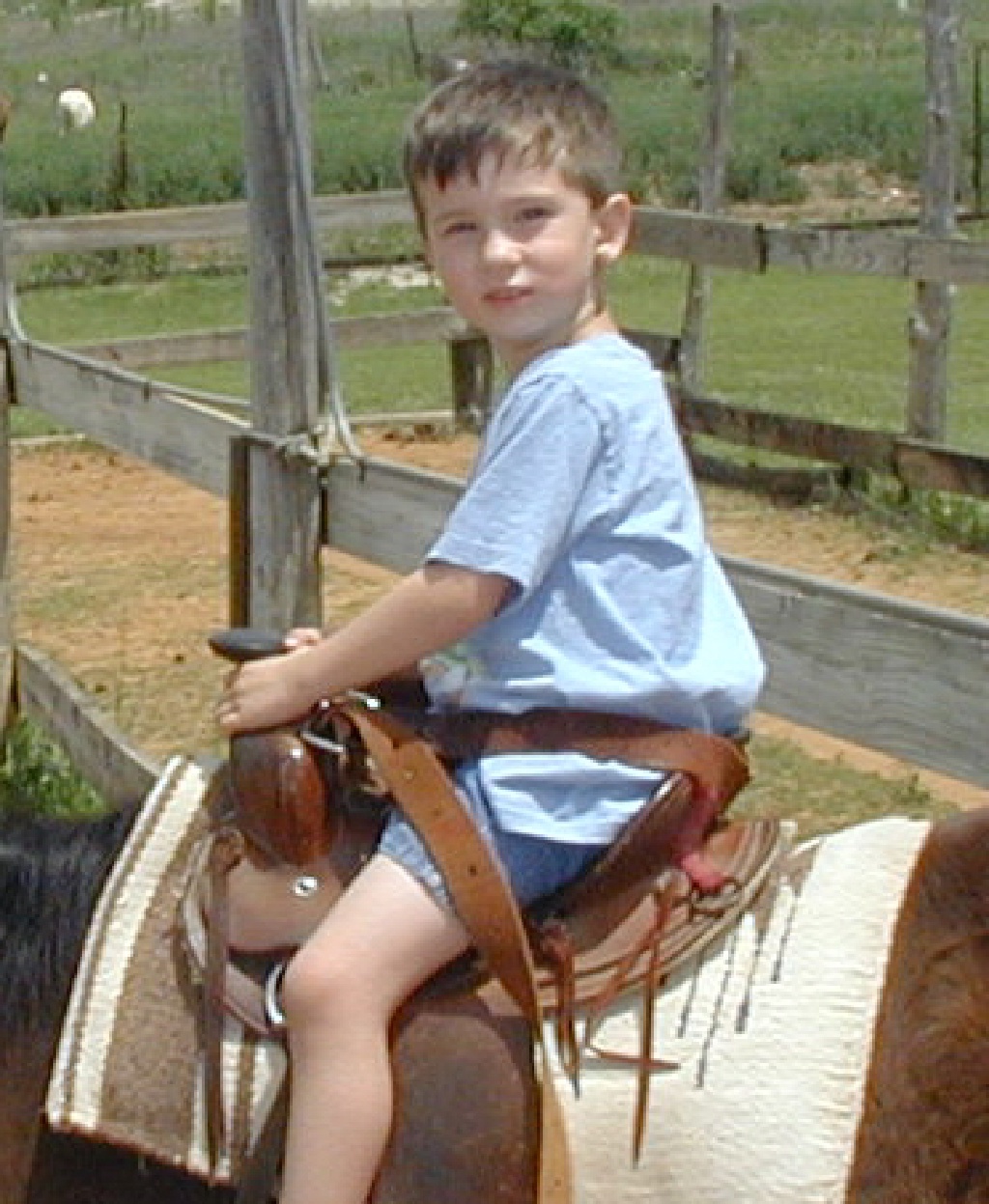 2005-04-16-Zachary-bday-Kiddie-Acres-24-Dax-pony.JPG
