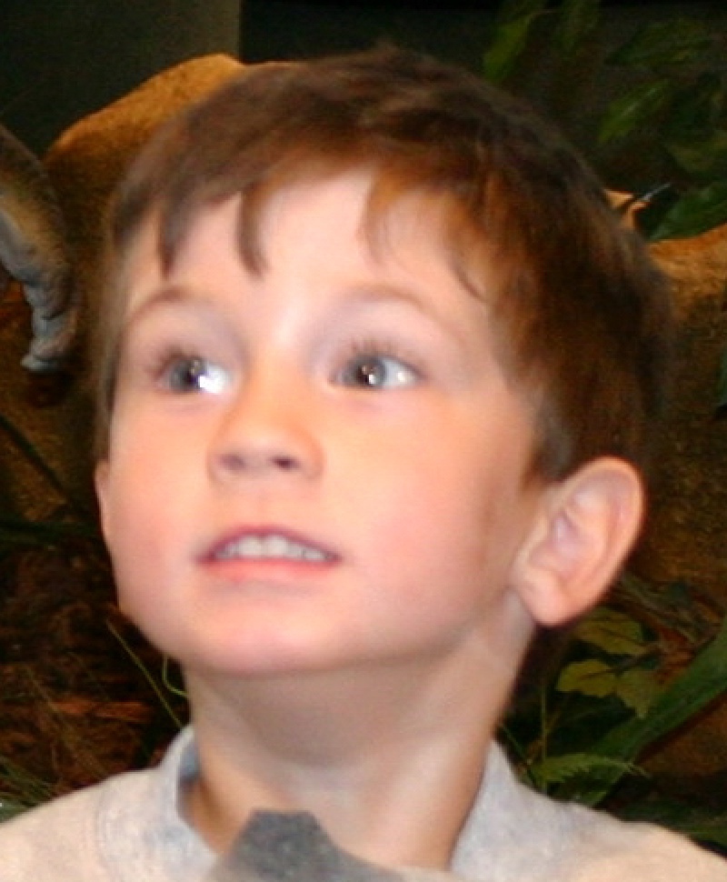 2005/Dax/800x600_2005-05-07-Childrens-Museum-12-Chance-Dax-Jacob.JPG