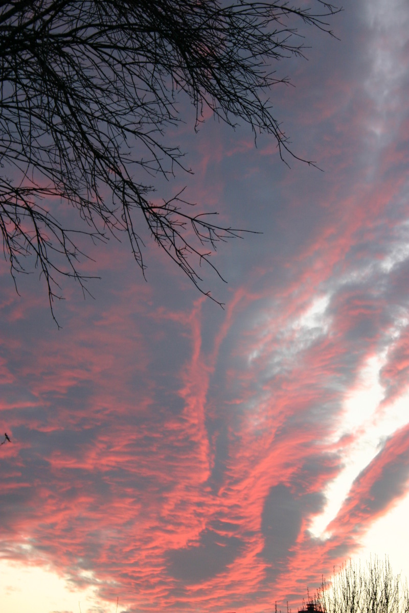 2006/01(January)/landscape/800x600_2006-01-01-landscape-3.JPG