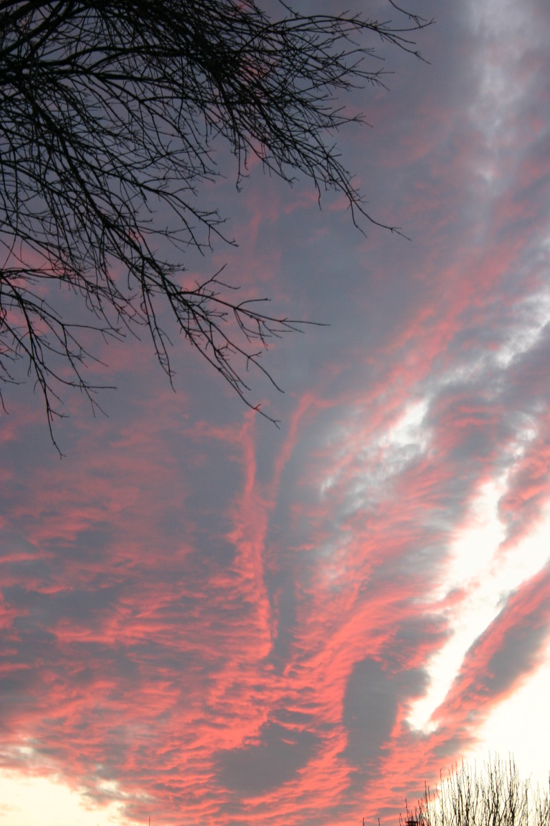 2006/01(January)/landscape/800x600_2006-01-01-landscape-4.JPG