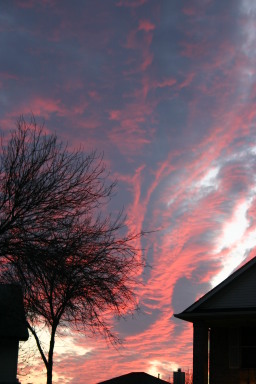 2006-01-01-landscape-2.JPG