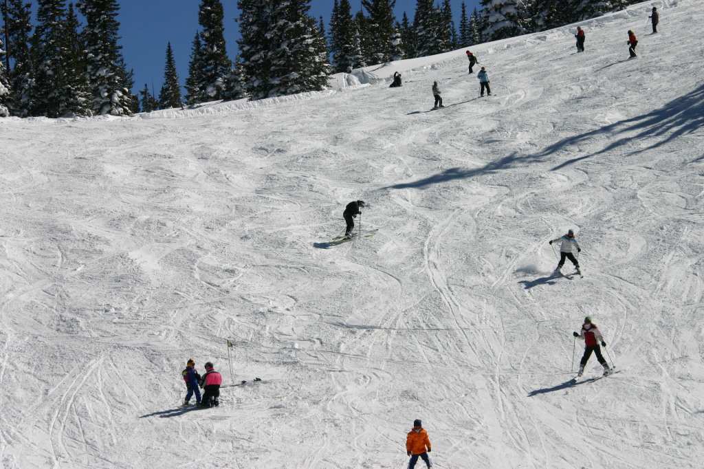 2006-03-14-Skiing-Wolfcreek-115-Suzi-Ren-McKenzie-Dax.JPG
