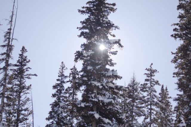 2006/03(March)/Skiing-WolfCreek/640x480_IMG_3819.JPG