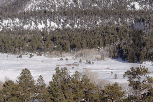 2006/03(March)/Skiing-WolfCreek/640x480_IMG_3823.JPG