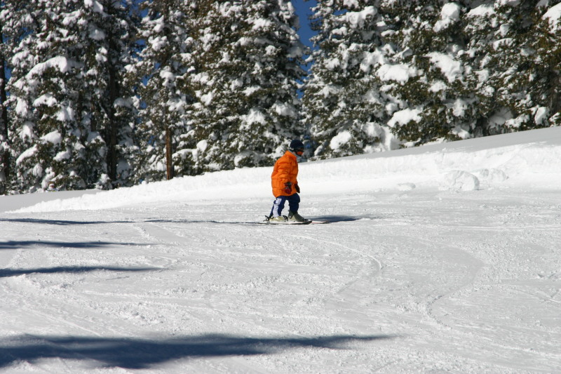 2006/03(March)/Skiing-WolfCreek/800x600_2006-03-14-Skiing-Wolfcreek-022-Dax.JPG