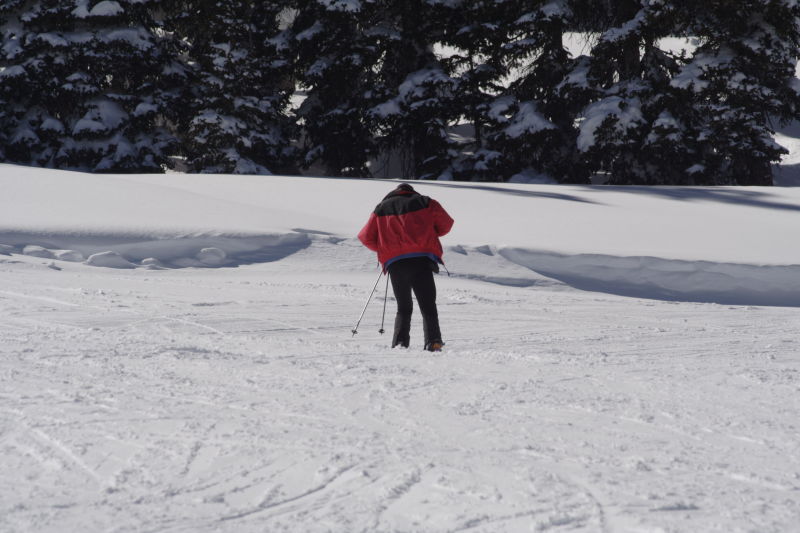 2006/03(March)/Skiing-WolfCreek/800x600_IMG_3771.JPG