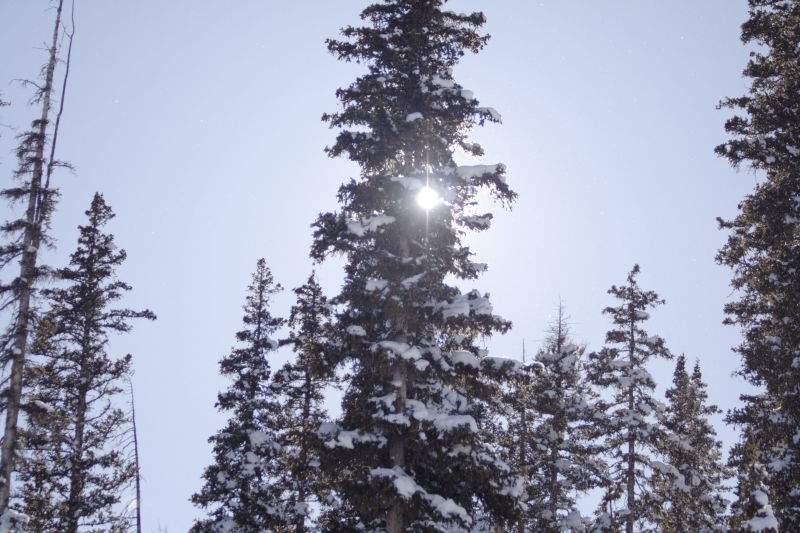 2006/03(March)/Skiing-WolfCreek/800x600_IMG_3819.JPG