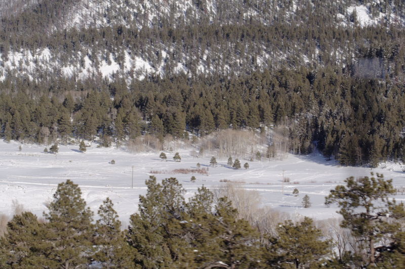 2006/03(March)/Skiing-WolfCreek/800x600_IMG_3823.JPG