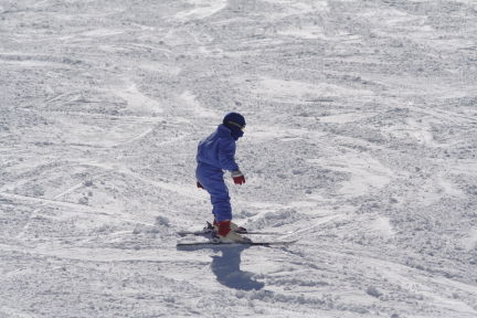 IMG_3783.JPG