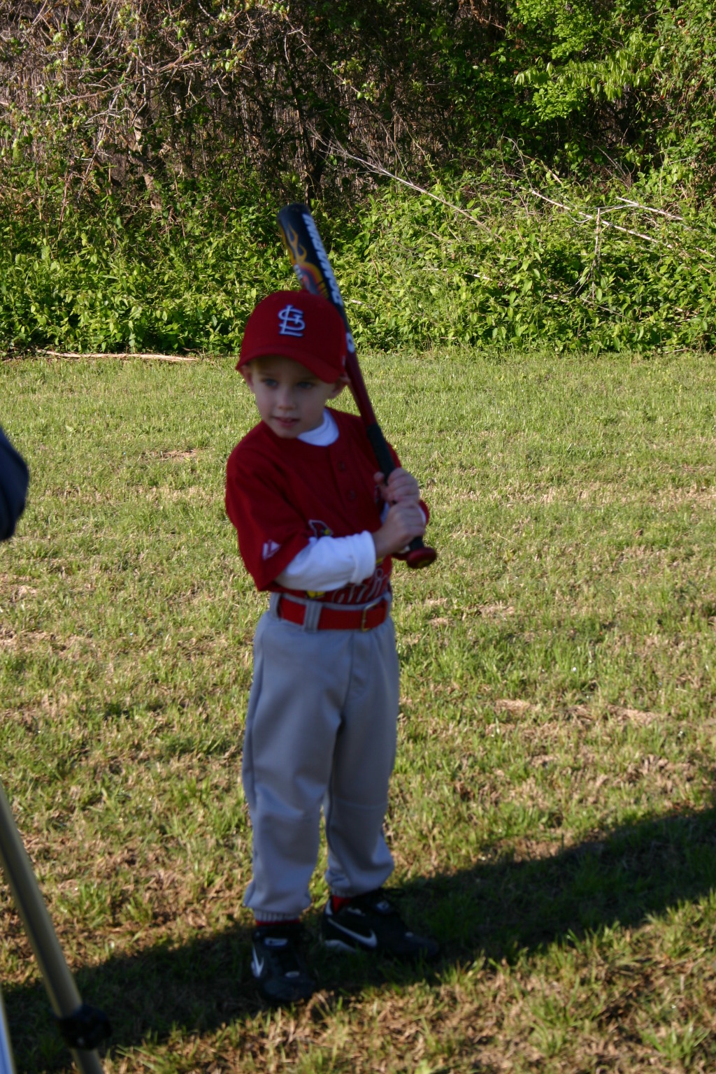 2006/03(March)/Tball-Professional-poses/1024x768_2006-03-25-Tball-Prof-09-August.JPG
