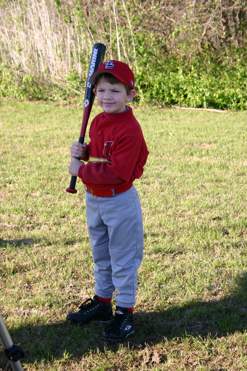 2006/03(March)/Tball-Professional-poses/1024x768_2006-03-25-Tball-Prof-11-Case.JPG