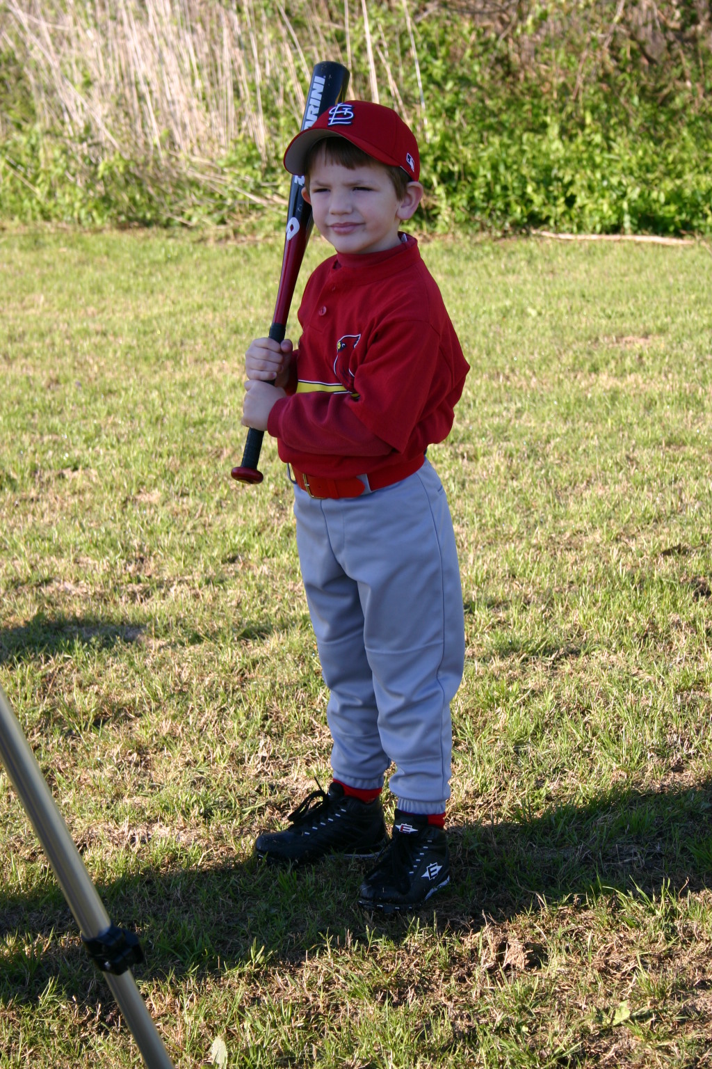 2006/03(March)/Tball-Professional-poses/1024x768_2006-03-25-Tball-Prof-13-Case.JPG