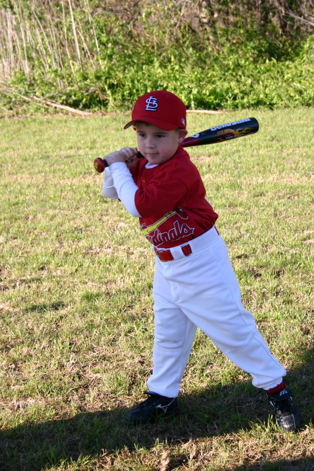 2006/03(March)/Tball-Professional-poses/1024x768_2006-03-25-Tball-Prof-38-Mason.JPG