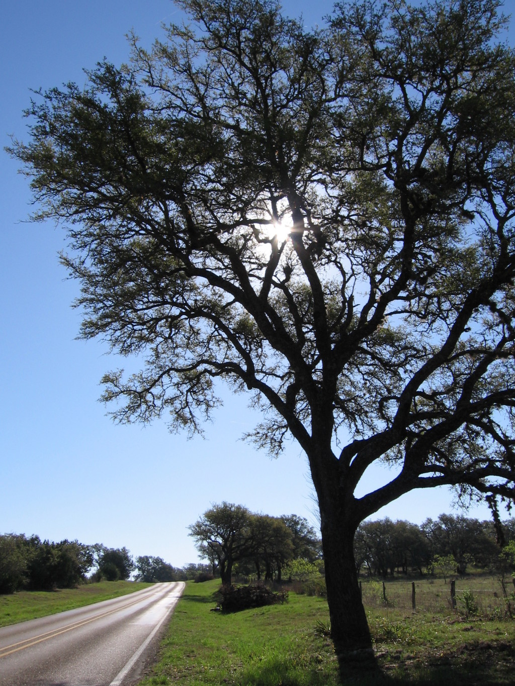 2006/04(April)/Bicycle-to-Fredricksburg/1024x768_IMG_0449.JPG