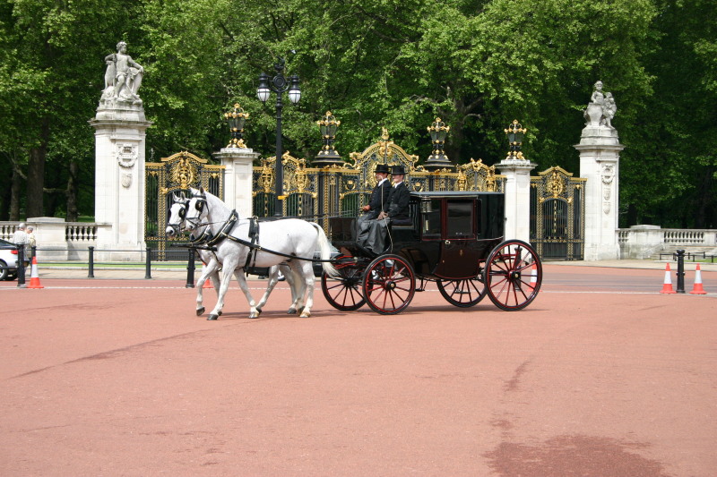 2006-05-25-London-21-Buckingham-Palace-horse-carriage.JPG