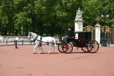 2006-05-25-London-22-Buckingham-Palace-horse-carriage.JPG