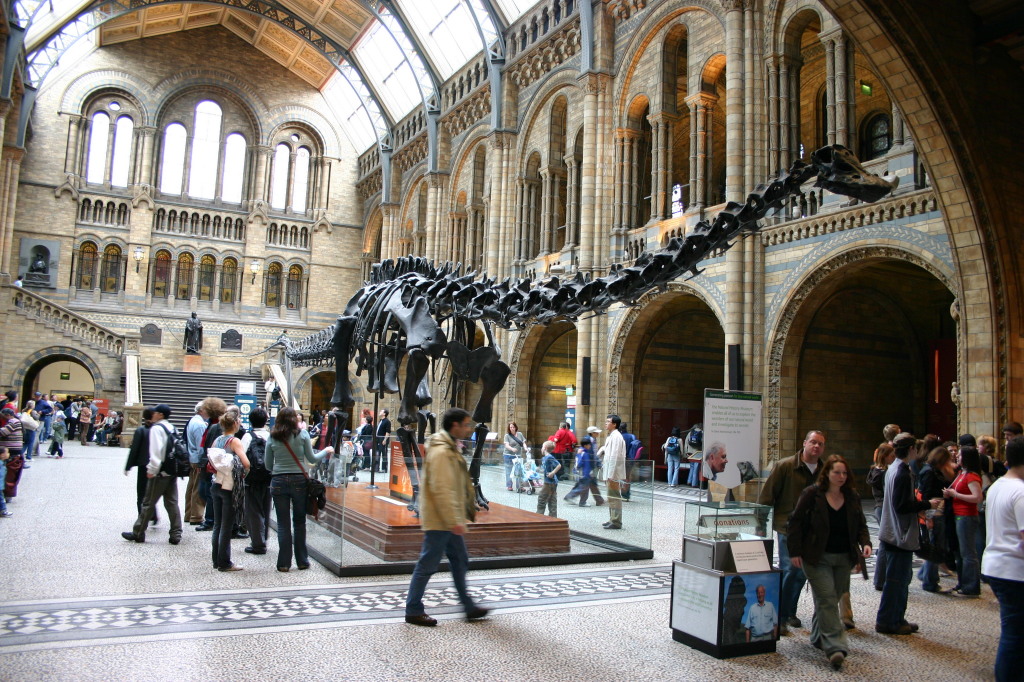 2006-05-26-London-42-Natural-History-Museum-foyer.JPG