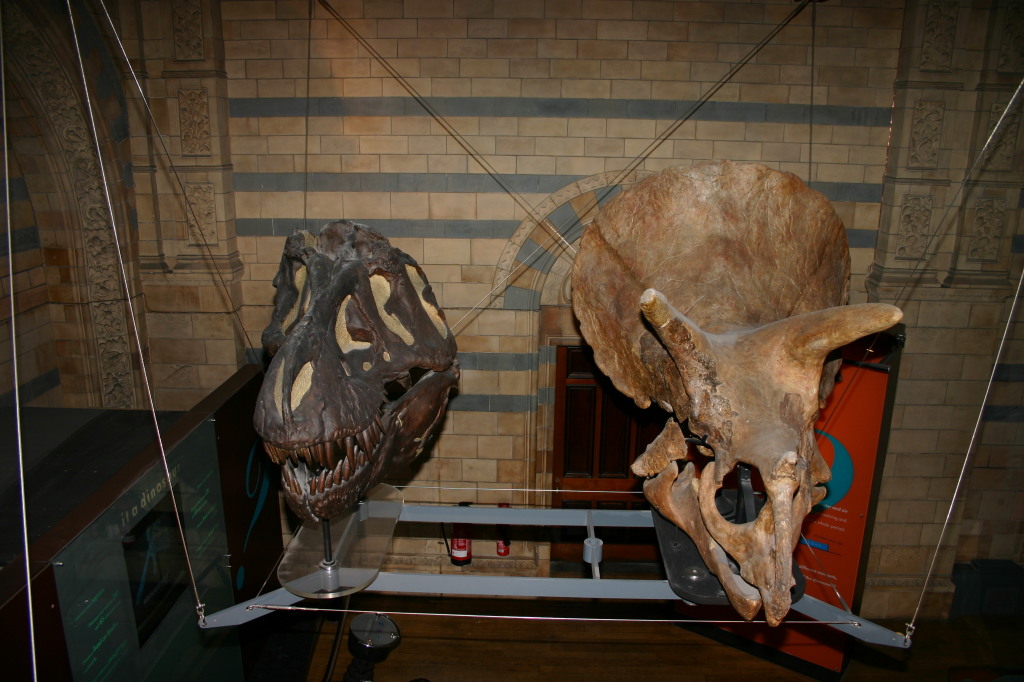 2006/05(May)/London/Day2/1024x768_2006-05-26-London-53-Natural-History-Museum-dino.JPG