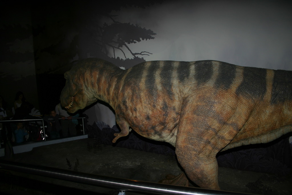 2006/05(May)/London/Day2/1024x768_2006-05-26-London-54-Natural-History-Museum-dino-T-Rex.JPG
