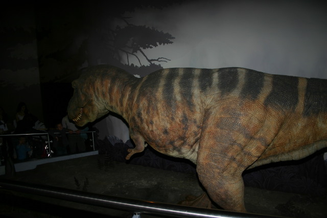 2006/05(May)/London/Day2/640x480_2006-05-26-London-54-Natural-History-Museum-dino-T-Rex.JPG