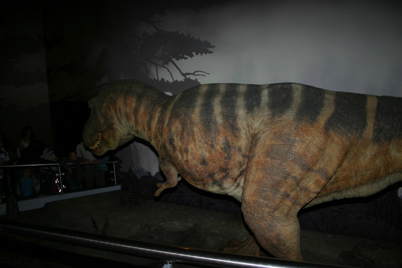 2006/05(May)/London/Day2/800x600_2006-05-26-London-54-Natural-History-Museum-dino-T-Rex.JPG