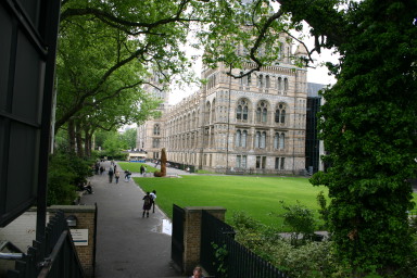 2006-05-26-London-38-Natural-History-Museum.JPG