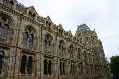 2006-05-26-London-40-Natural-History-Museum.JPG