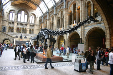 2006-05-26-London-42-Natural-History-Museum-foyer.JPG