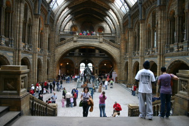 2006-05-26-London-46-Natural-History-Museum-foyer-Suzi.JPG