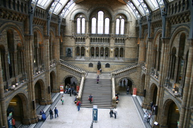 2006-05-26-London-48-Natural-History-Museum-foyer.JPG