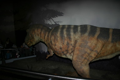 2006-05-26-London-54-Natural-History-Museum-dino-T-Rex.JPG