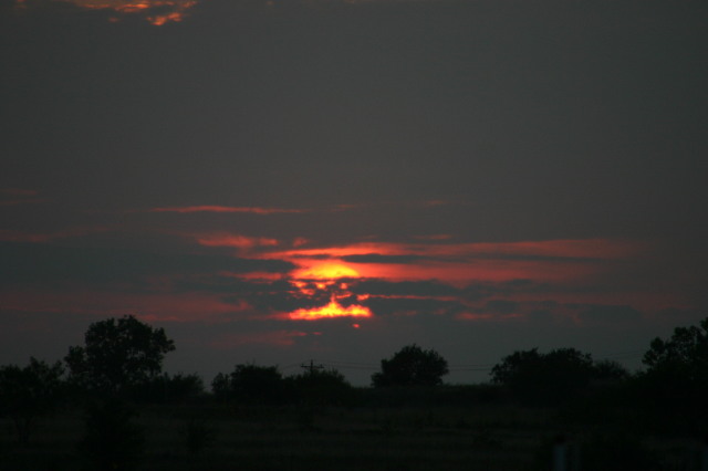 2006-06-30-Tball-Bulldogs-47-Sunset.JPG