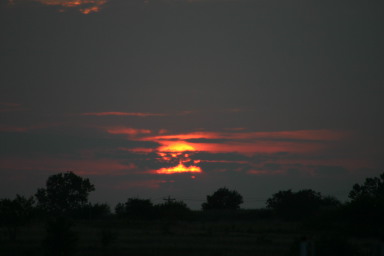 2006-06-30-Tball-Bulldogs-47-Sunset.JPG