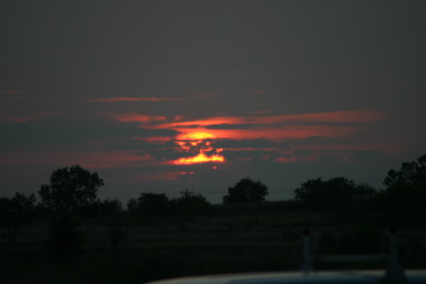 2006-06-30-Tball-Bulldogs-48-Sunset.JPG